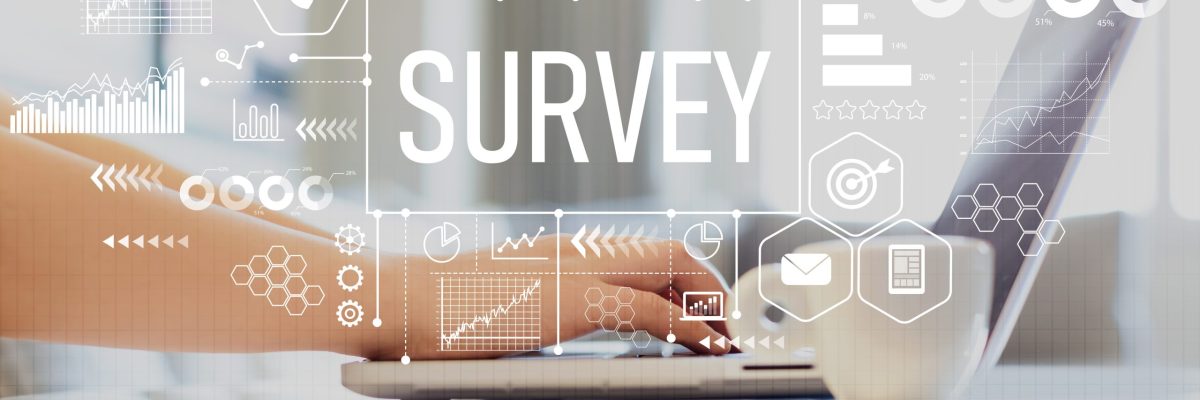 Survey with woman using a laptop on a coffee table